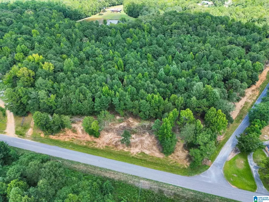 00 COUNTY ROAD 50, Jemison, AL 35085 - #2