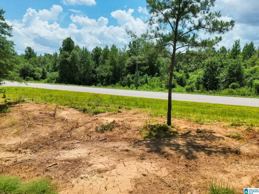 00 COUNTY ROAD 50, Jemison, AL 35085 - #3