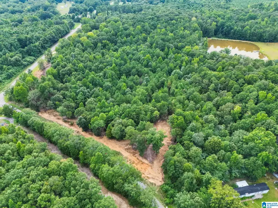 0 COUNTY ROAD 121, Jemison, AL 35085 - #2