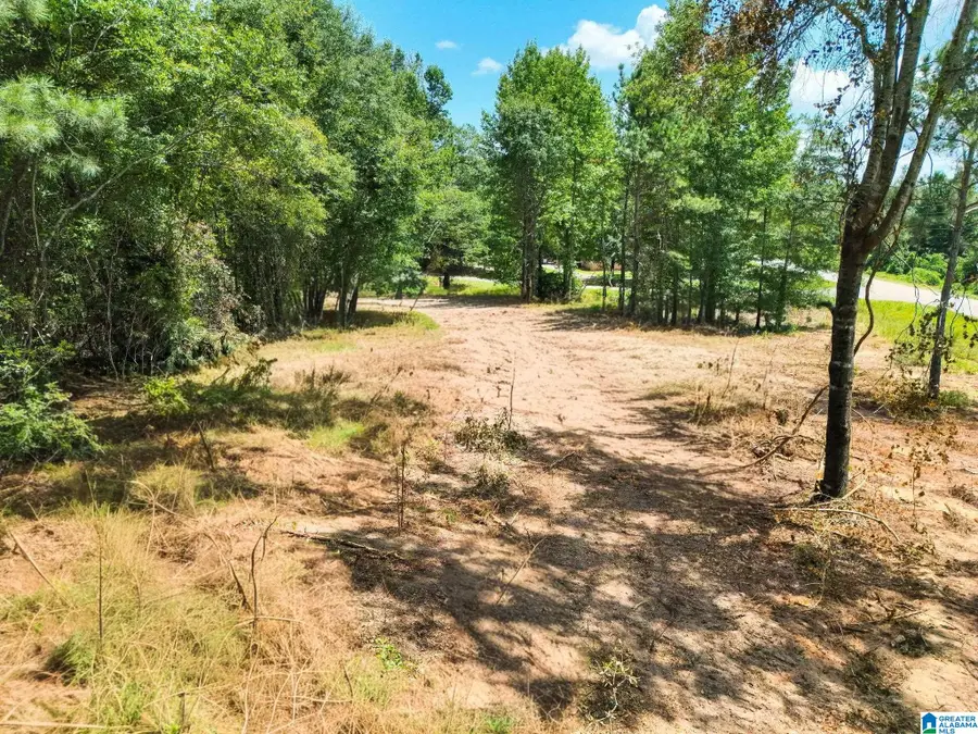 0 COUNTY ROAD 121, Jemison, AL 35085 - #3
