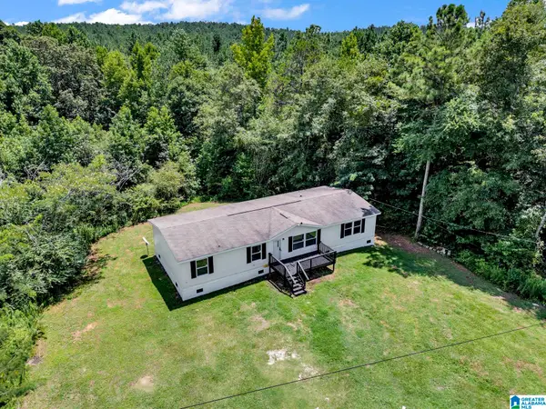 6393 BULL GAP ROAD, Goodwater, AL 35072
