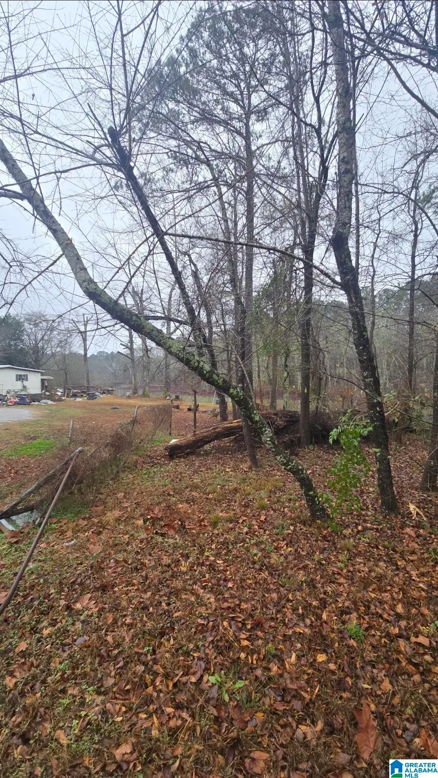 511 LAKEVIEW CIRCLE, Harpersville, AL 35078 - #2