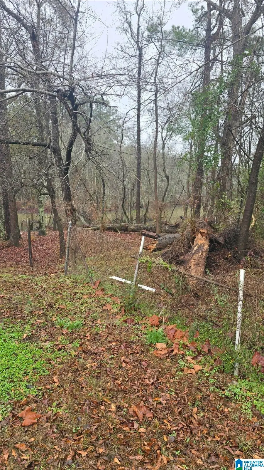 511 LAKEVIEW CIRCLE, Harpersville, AL 35078 - #3