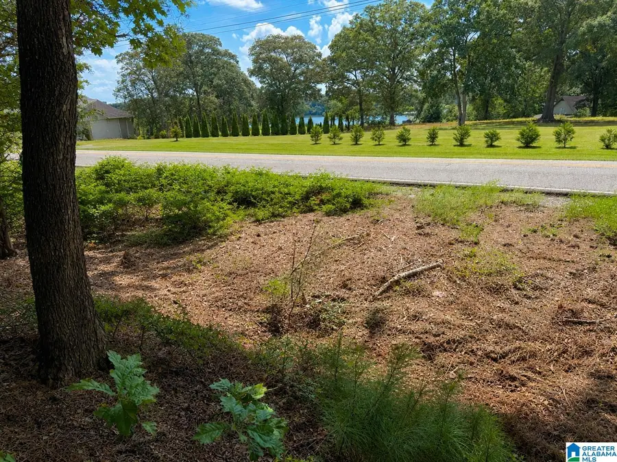 0 STEMLEY ROAD, Lincoln, AL 35096 - #2