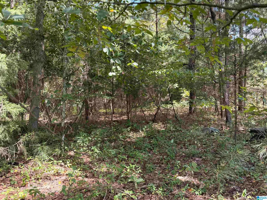 0 STEMLEY ROAD, Lincoln, AL 35096 - #3