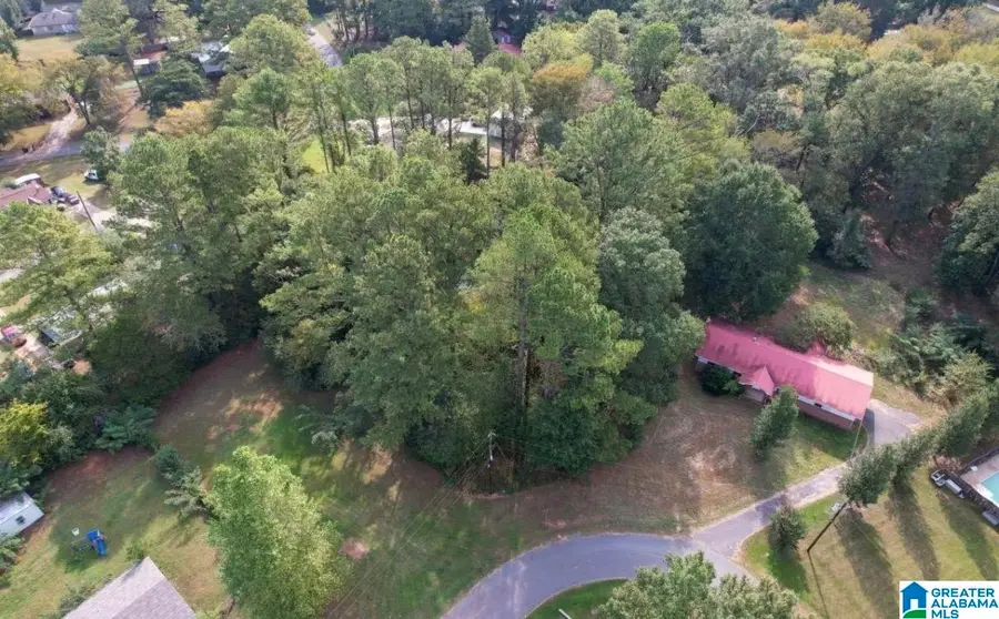 0 EWING STREET, Wilton, AL 35115 - #3