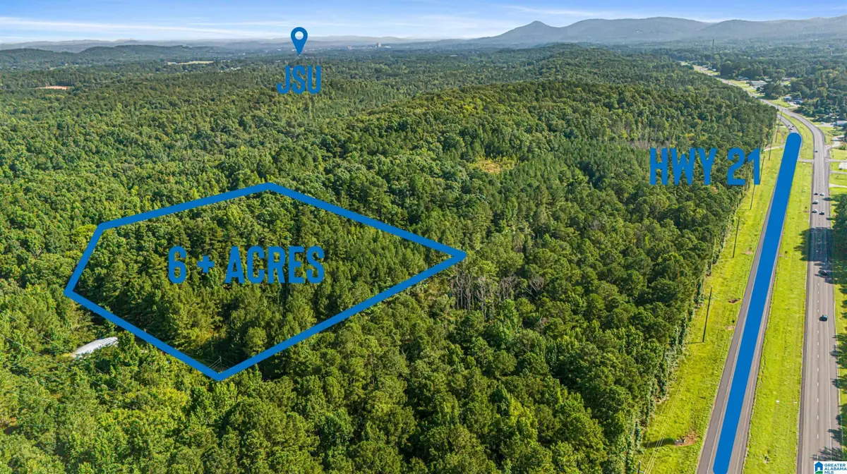6 Acres OLD JACKSONVILLE HIGHWAY, Anniston, AL 36206 - #1