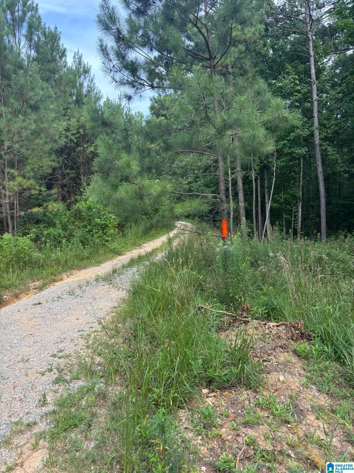 00 UNION T ROAD, Talladega, AL 35160 - #1