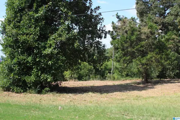 5714 SMOKEY ROAD, Calera, AL 35040