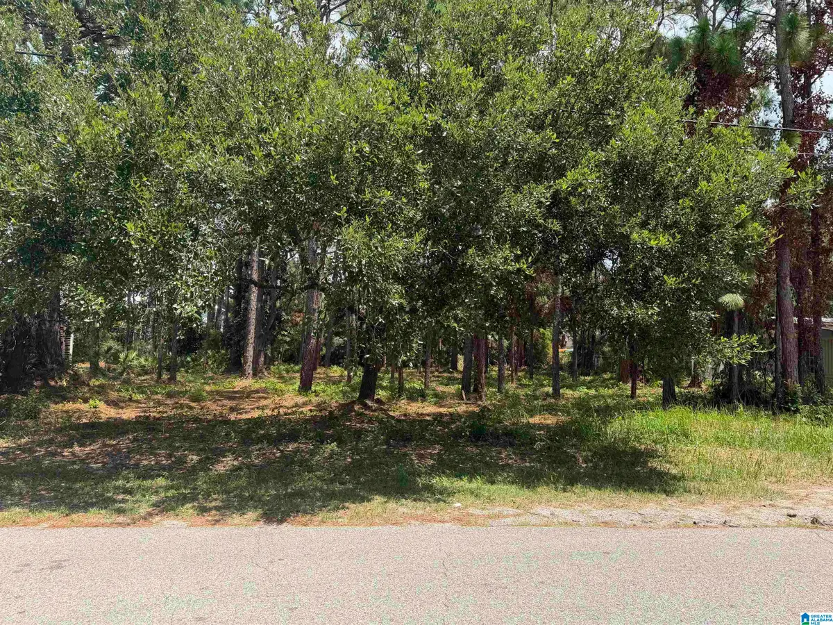 118 FORNEY JOHNSON DRIVE, Dauphin Island, AL 36528 - #1