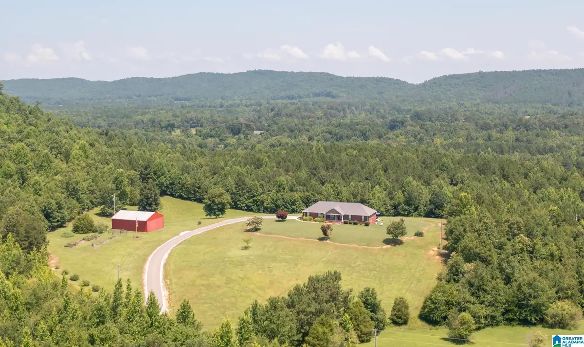 314 LANDERS ROAD, Jacksonville, AL 36265 - #1