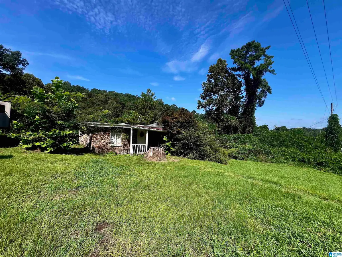 57181 HIGHWAY 231, Oneonta, AL 35121 - #1