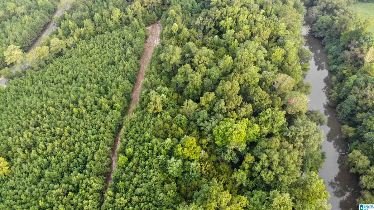 0 GORGAS ROAD, Northport, AL 35475 - #1
