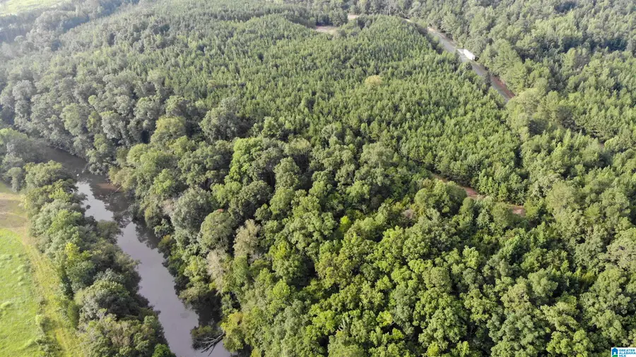 0 GORGAS ROAD, Northport, AL 35475 - #2