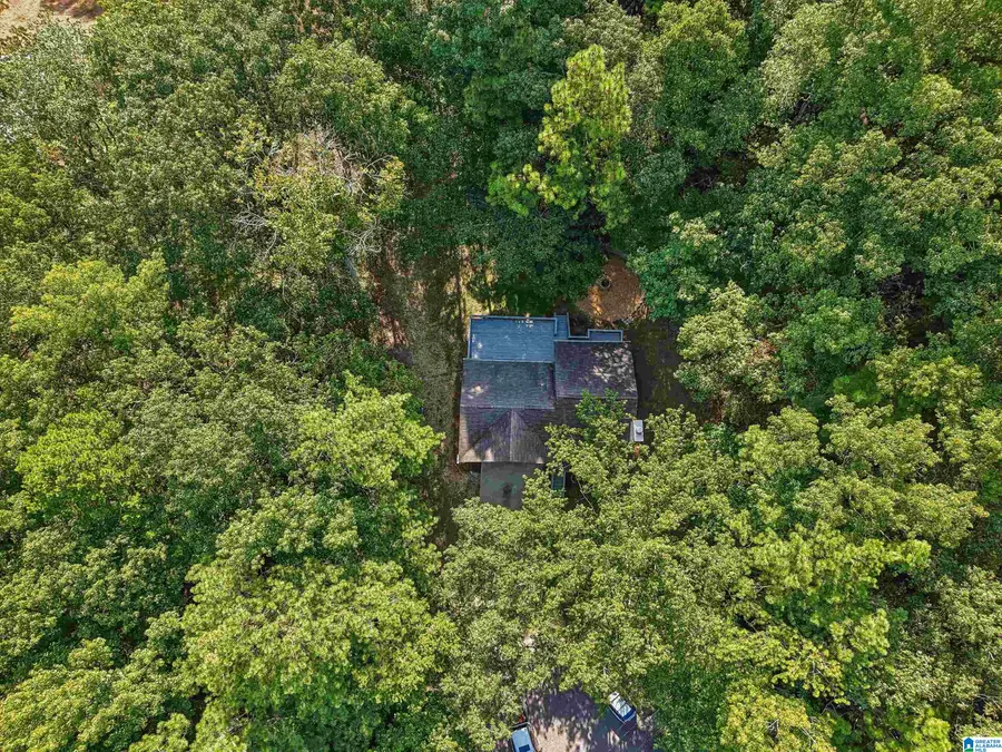 1017 BURNT PINE LANE, Maylene, AL 35114 - #3