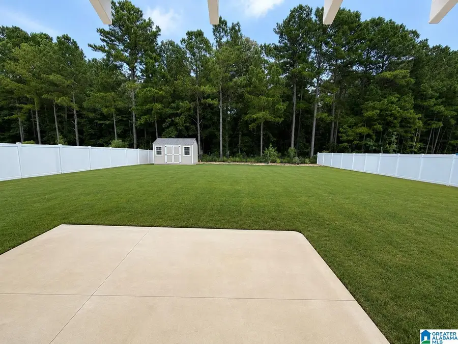 1935 BAXTER AVENUE, Springville, AL 35146 - #2