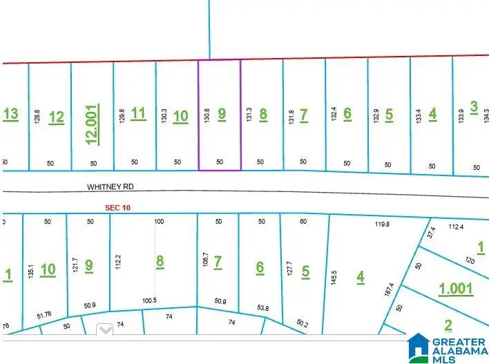 213 WHITNEY ROAD, Ashville, AL 35953 - #1