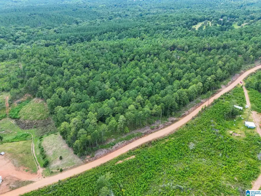 204 COUNTY ROAD 485, Clanton, AL 35046 - #3