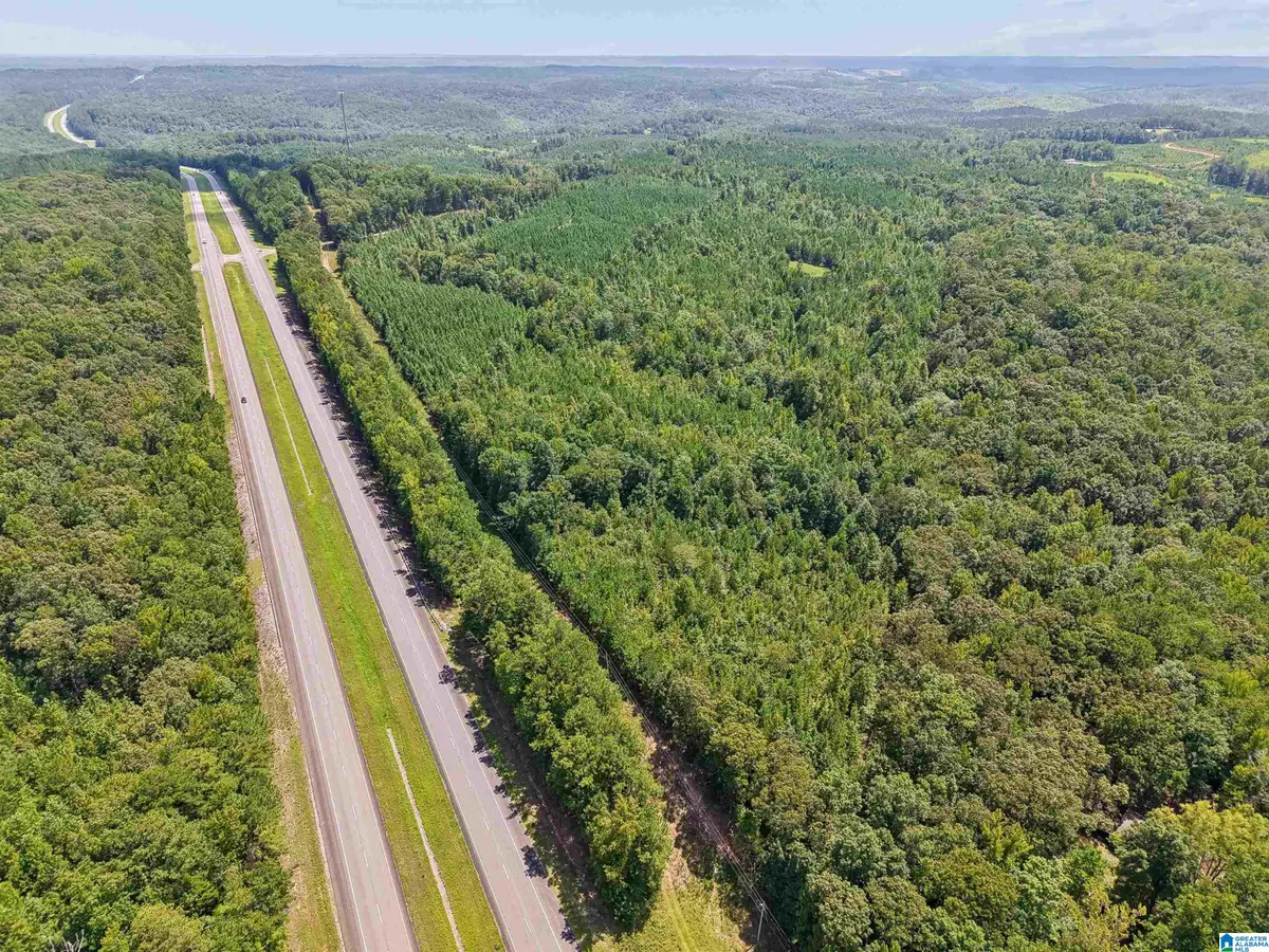 2387 COUNTY ROAD 131, Goodwater, AL 35072 - #1