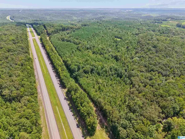 2387 COUNTY ROAD 131, Goodwater, AL 35072