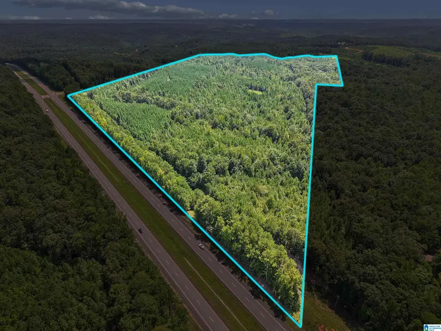 2387 COUNTY ROAD 131, Goodwater, AL 35072 - #3