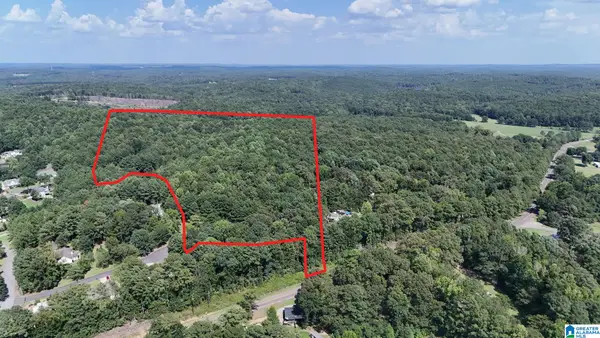 0 CLEMENTS ROAD, Cottondale, AL 35453