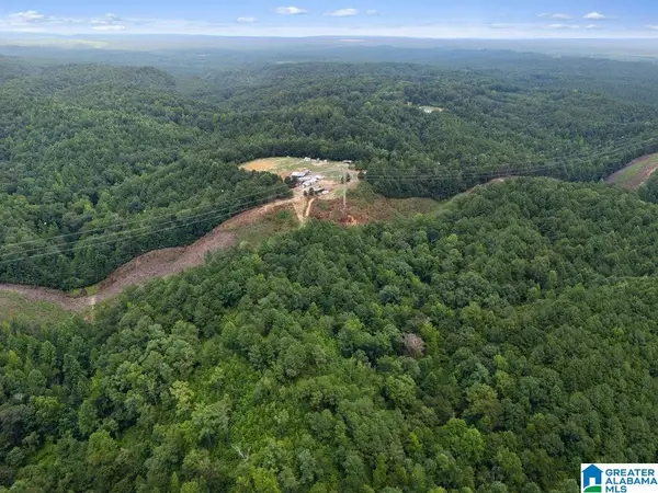 1014 PUMPKIN CENTER CUT OFF ROAD, Quinton, AL 35130