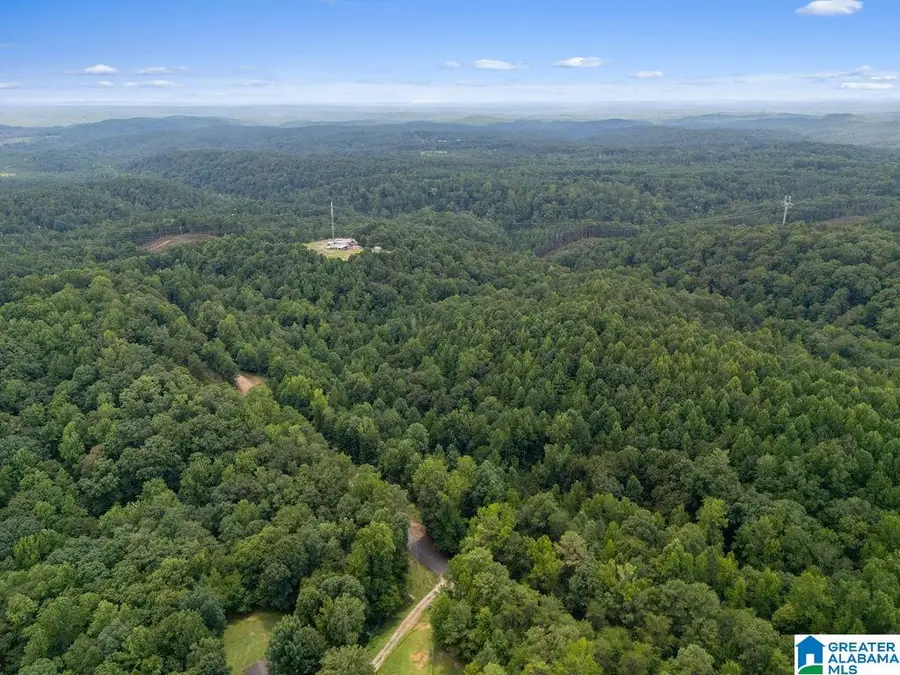 1014 PUMPKIN CENTER CUT OFF ROAD, Quinton, AL 35130 - #2