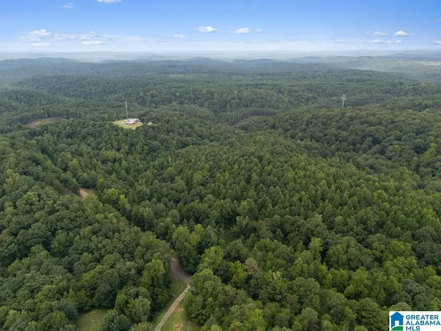 1014 PUMPKIN CENTER CUT OFF ROAD, Quinton, AL 35130 - #3