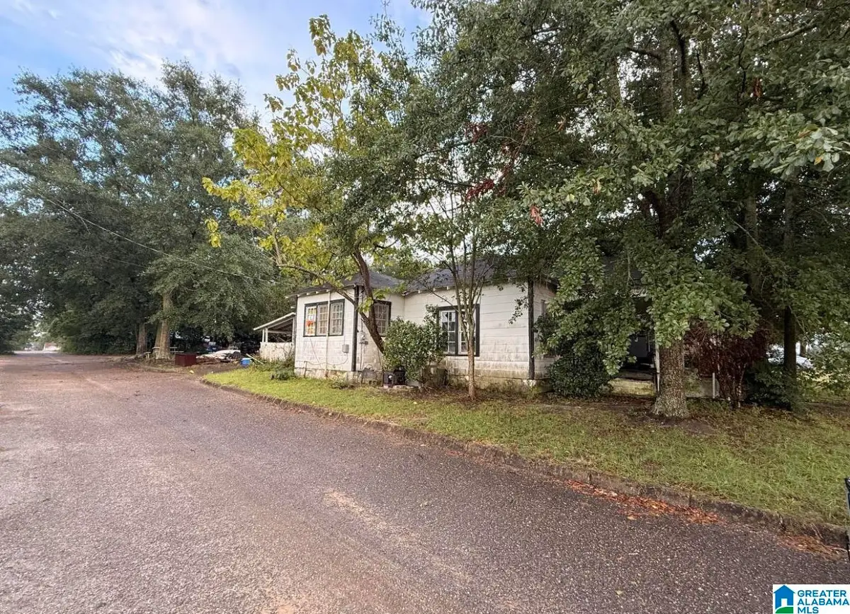 305 DORSEY STREET, Opp, AL 36467 - #1