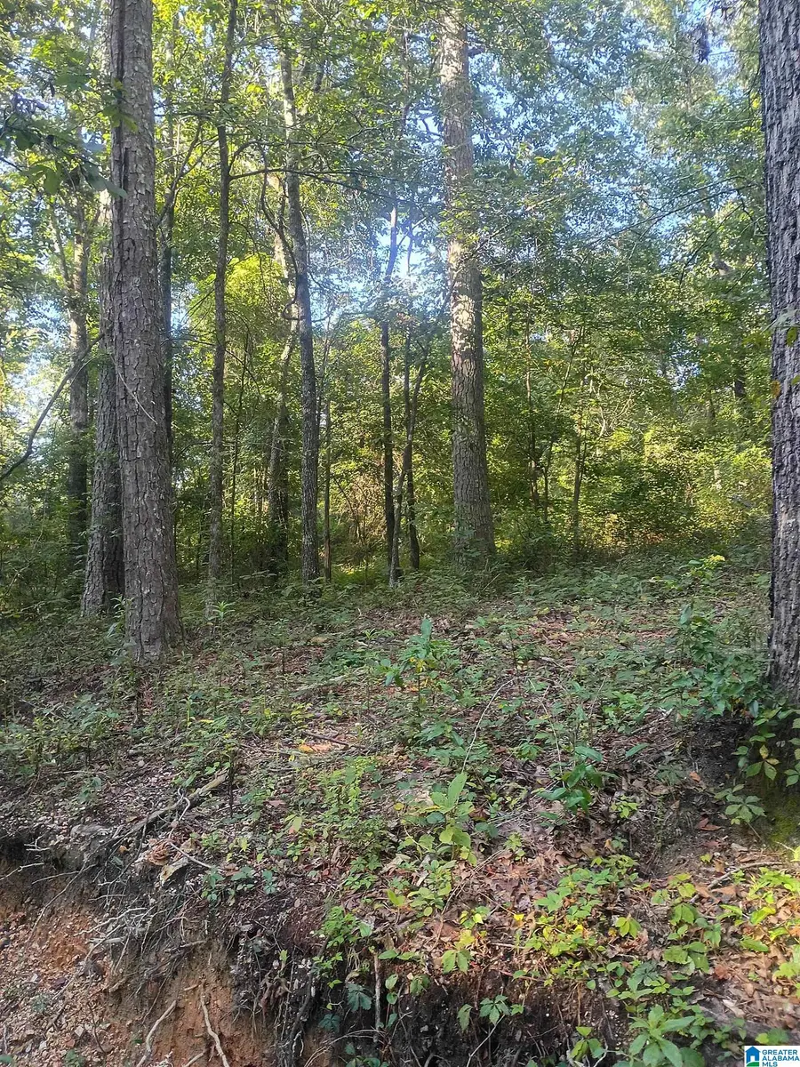007 MCKESIE STREET, Riverside, AL 35135 - #2
