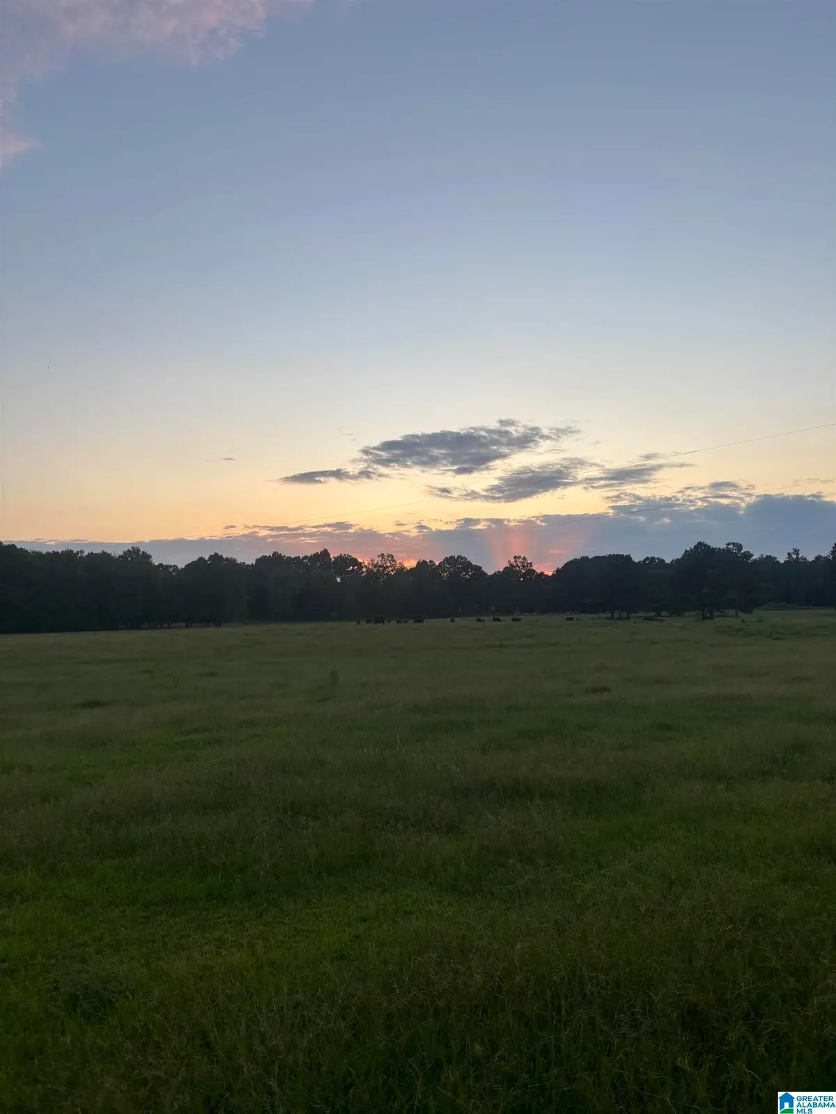 4759 COUNTY ROAD 55, Wilsonville, AL 35186 - #1