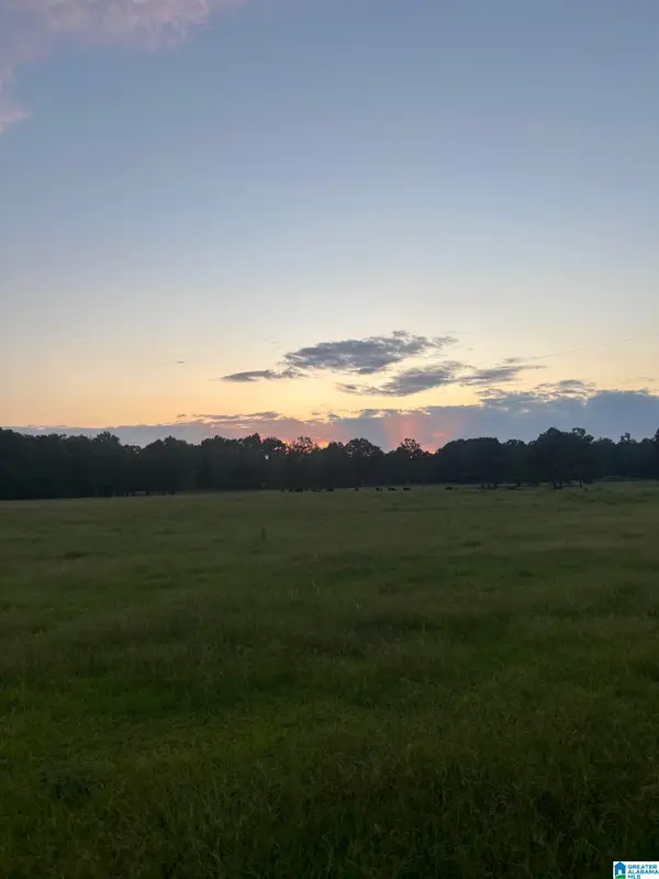 4759 COUNTY ROAD 55, Wilsonville, AL 35186