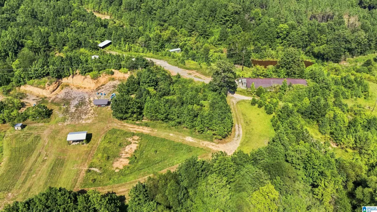 0000 COUNTY HIGHWAY 13, Cleveland, AL 35049 - #1