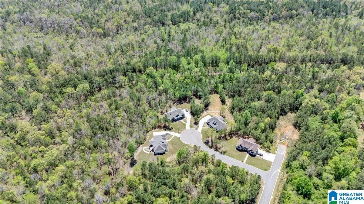 7620 COOK ROAD, Trussville, AL 35173 - #1