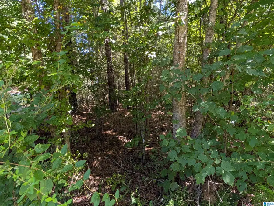 25 LYNNGATE CIRCLE, Cropwell, AL 35054 - #3
