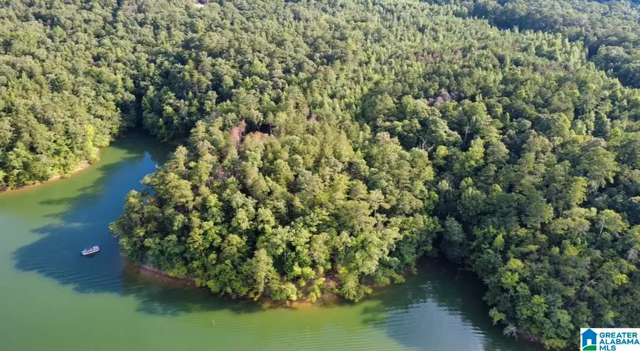 111 QUIET COVE ROAD, Jasper, AL 35503 - #3