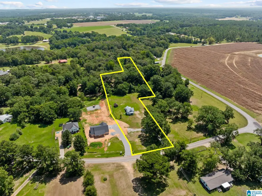 799 TUSCALOOSA ROAD, Thorsby, AL 35171 - #2