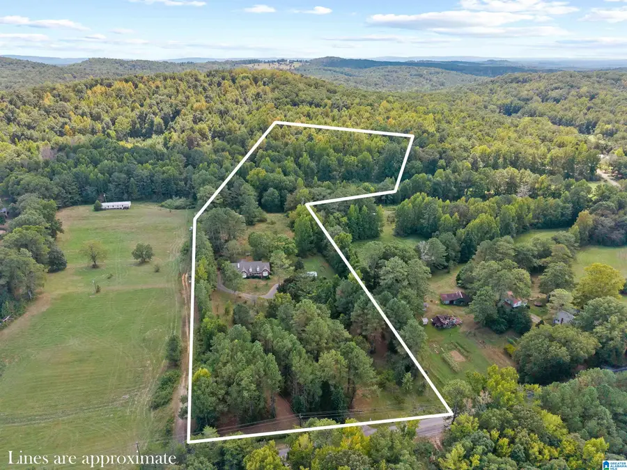 7519 OLD SPRINGVILLE ROAD, Trussville, AL 35173 - #2
