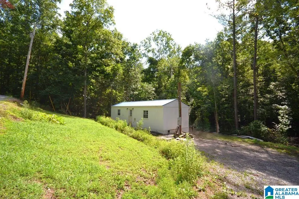659 COUNTY ROAD 935, Crane Hill, AL 35053 - #1