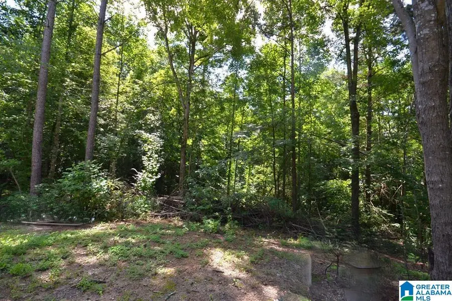 659 COUNTY ROAD 935, Crane Hill, AL 35053 - #2