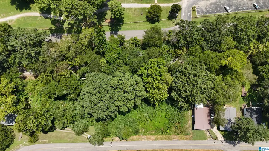 912 WALKER AVENUE, Fultondale, AL 35217 - #2