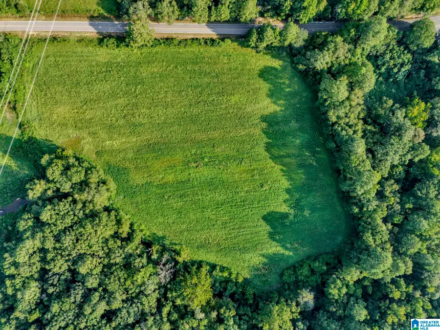 8121 RIVER ROAD, Warrior, AL 35180 - #2