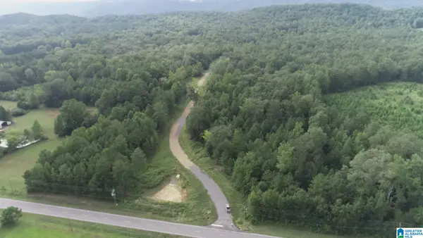 20 SCENIC VALLEY ROAD, Springville, AL 35146