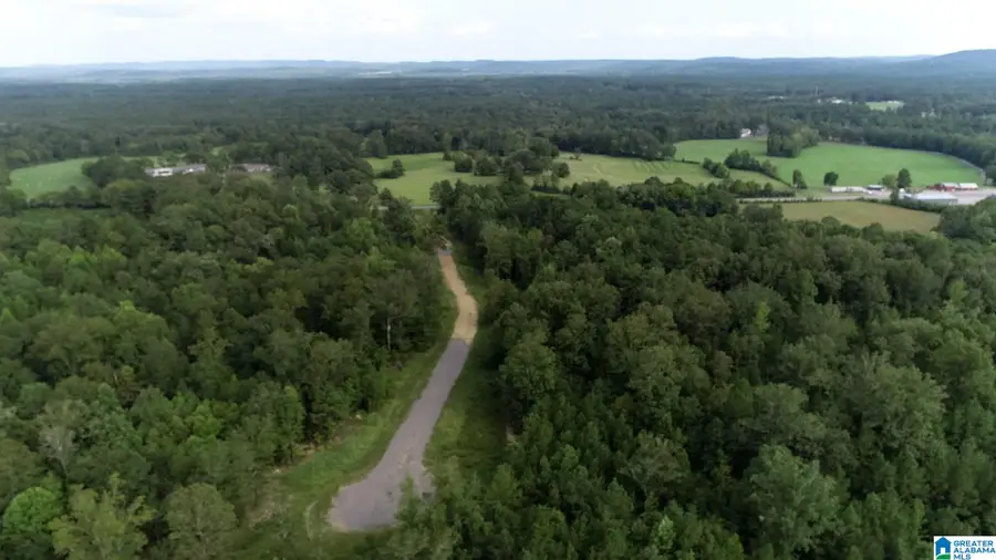 20 SCENIC VALLEY ROAD, Springville, AL 35146 - #2
