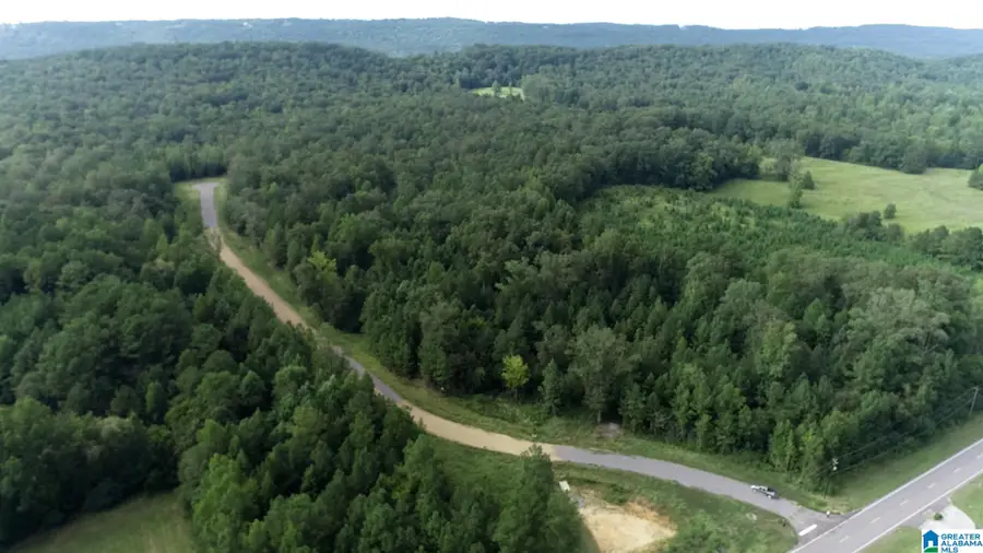 20 SCENIC VALLEY ROAD, Springville, AL 35146 - #3