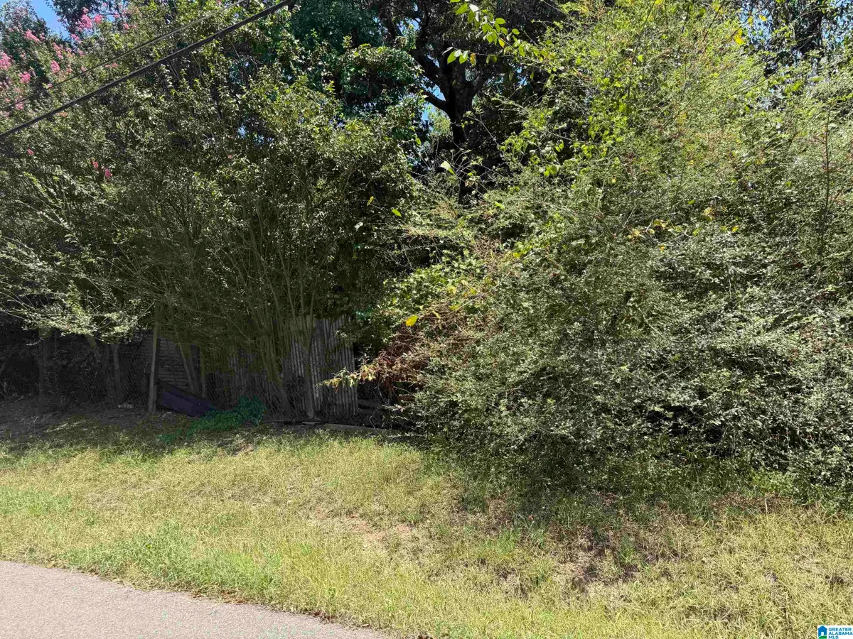 1079 TALLEY AVENUE, Birmingham, AL 35217 - #1