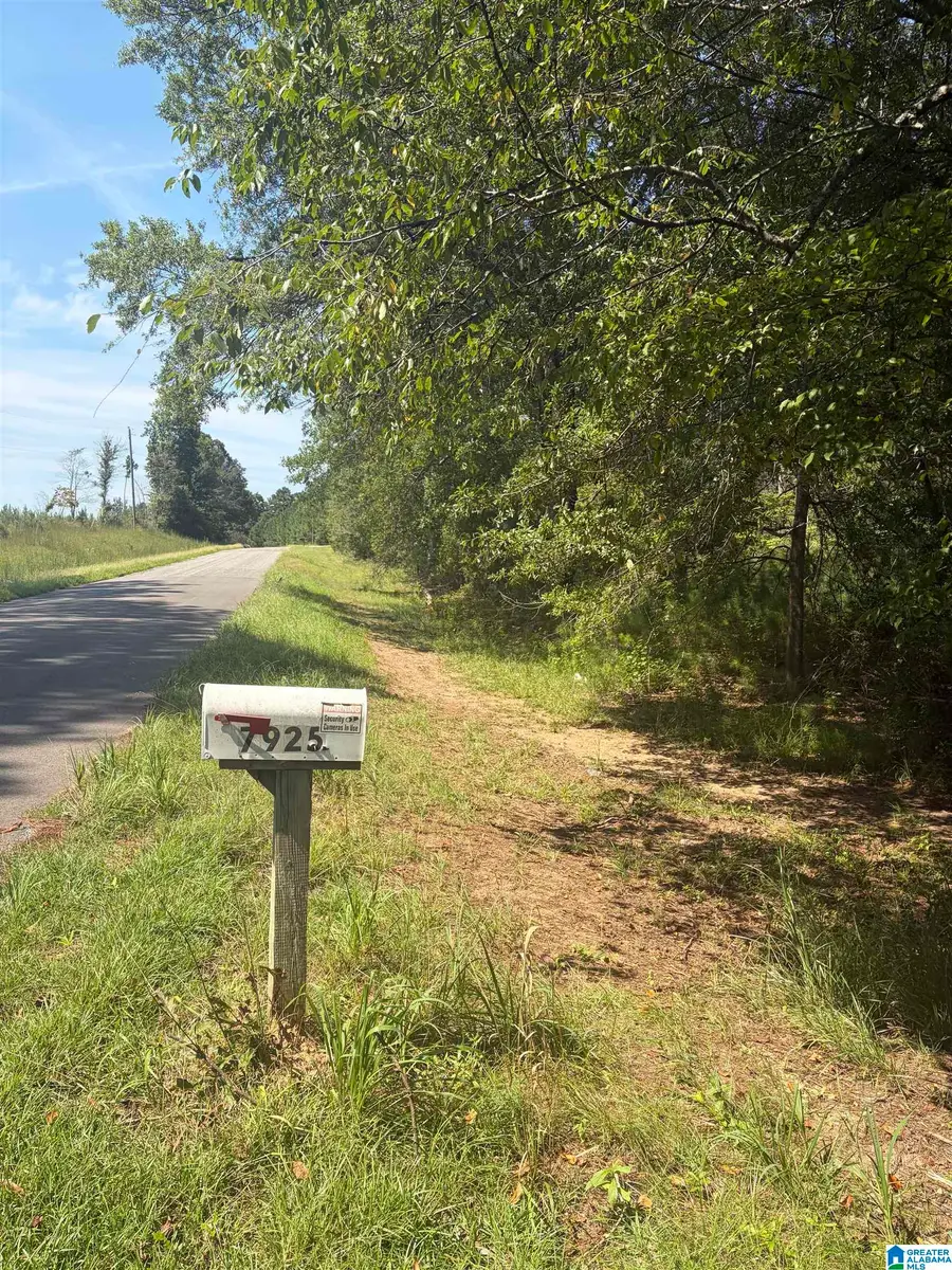 7925 COUNTY ROAD 66, Heflin, AL 36264 - #2
