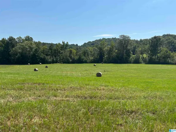 6559 ALABAMA HIGHWAY 174, Springville, AL 35146