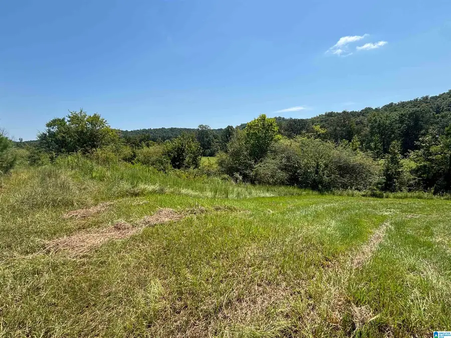 6559 ALABAMA HIGHWAY 174, Springville, AL 35146 - #2